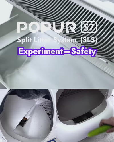 Popur S7 SLS Experiment: Safety