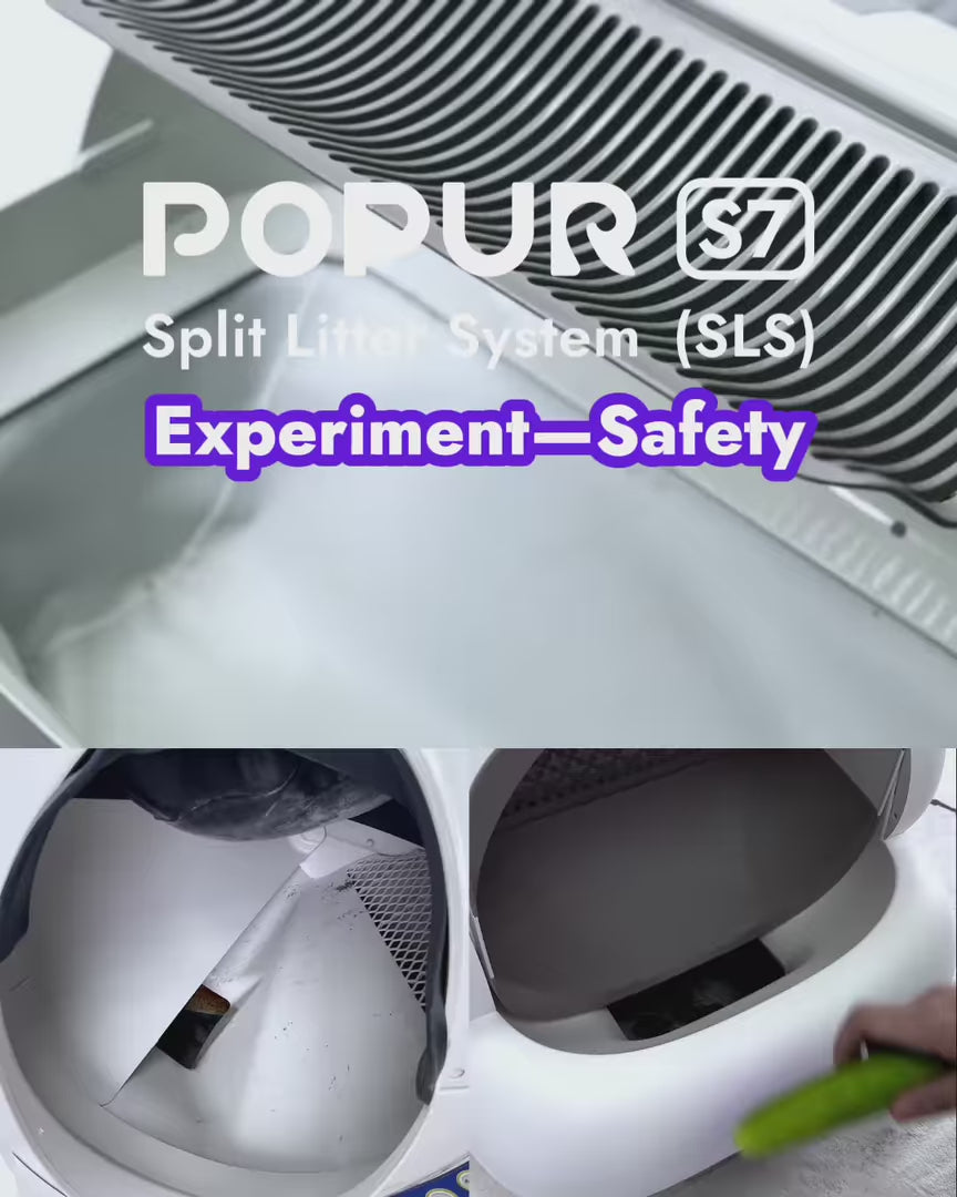 Popur S7 SLS Experiment: Safety