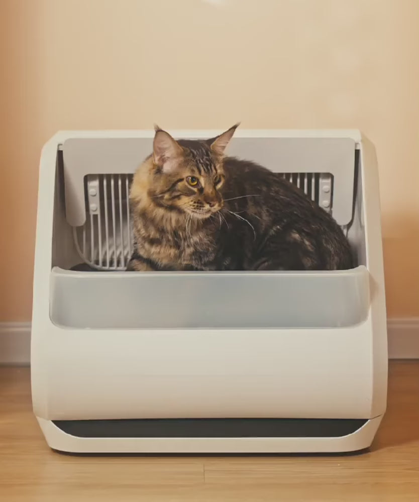 Load video: Meet Popur X5 self-cleaning cat litter box mobile video